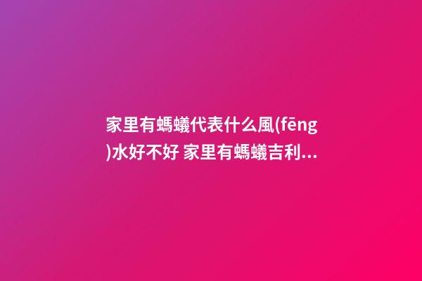 家里有螞蟻代表什么風(fēng)水好不好 家里有螞蟻吉利風(fēng)水解析